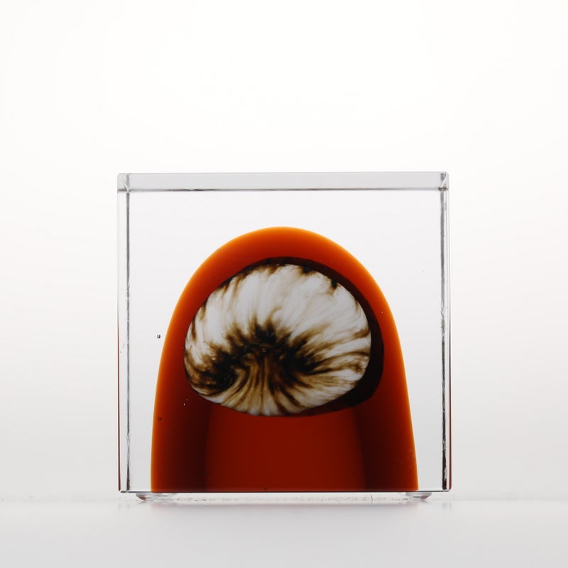 1977年から続くアニュアルキューブ | iittala / Annual cube