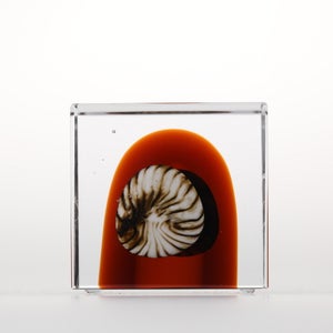 Annual Cube 2026 0138