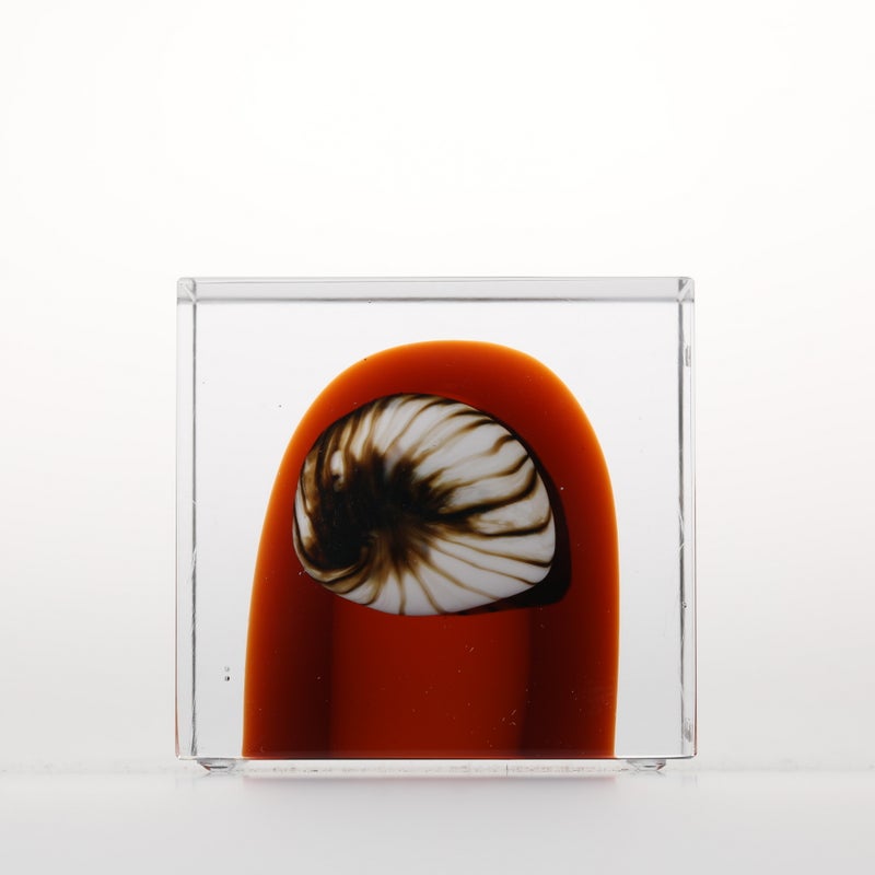 1977年から続くアニュアルキューブ | iittala / Annual cube 1977年から続くアニュアルキューブ | iittala / Annual cube