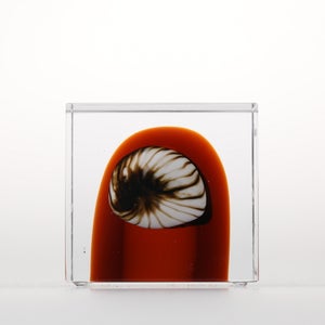 Annual Cube 2026 0139