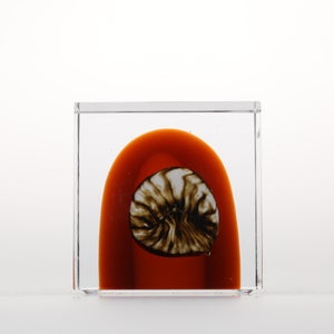 Annual Cube 2026 0141