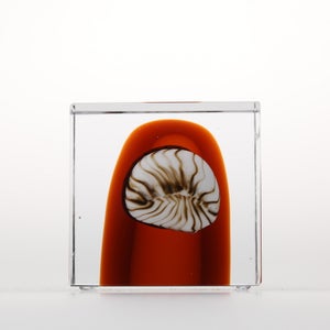 Annual Cube 2026 0144