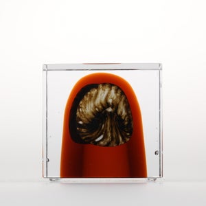 Annual Cube 2026 0145