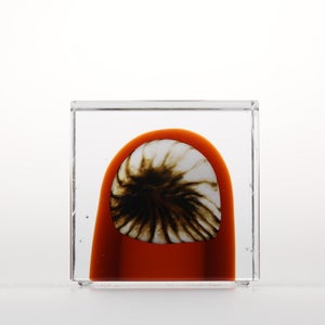 Annual Cube 2026 0146