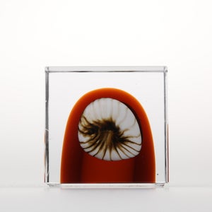 Annual Cube 2026 0147