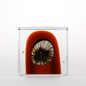 Annual Cube 2026 0148