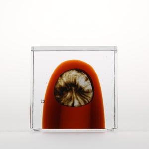 Annual Cube 2026 0149