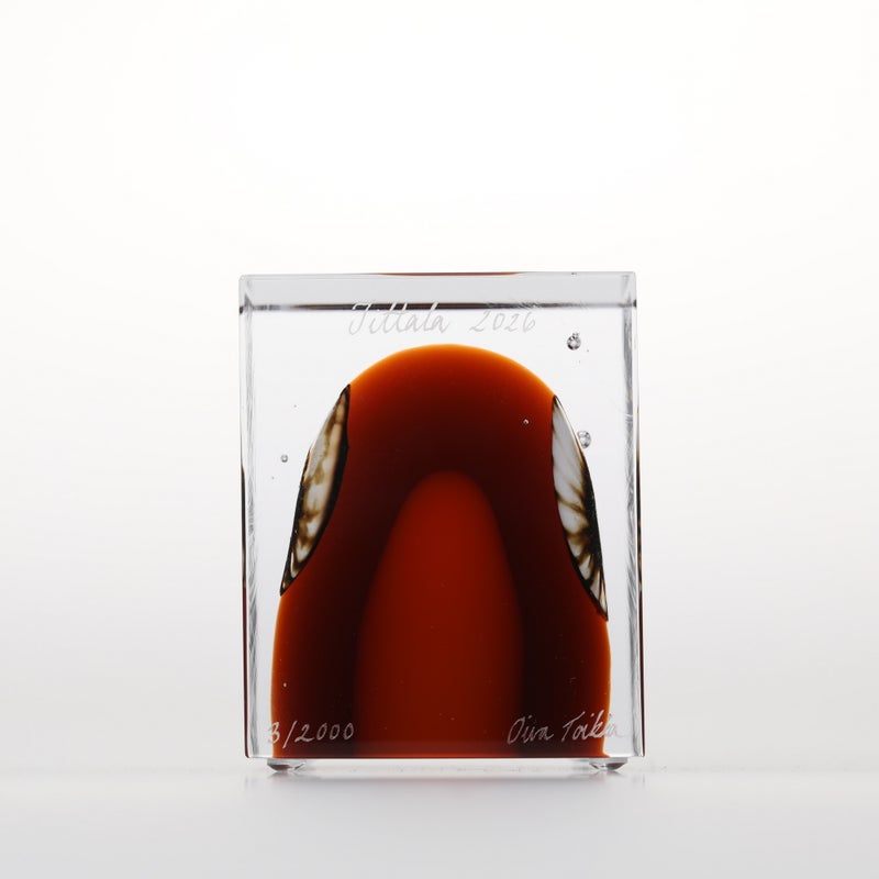 1977年から続くアニュアルキューブ | iittala / Annual cube