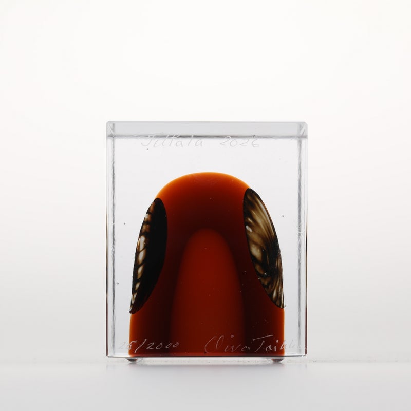 1977年から続くアニュアルキューブ | iittala / Annual cube