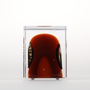 Annual Cube 2026 0028