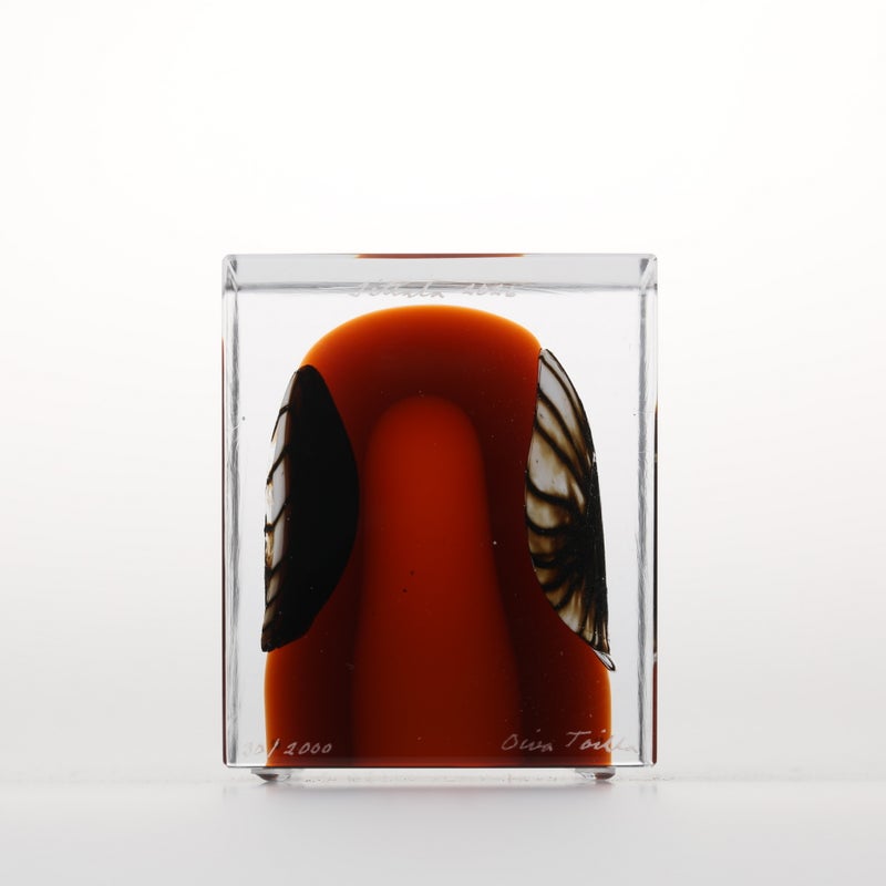 1977年から続くアニュアルキューブ | iittala / Annual cube