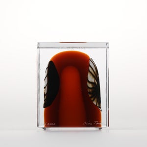 Annual Cube 2026 0030