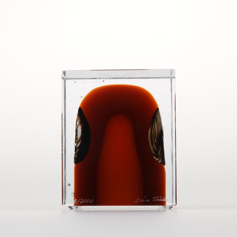 1977年から続くアニュアルキューブ | iittala / Annual cube