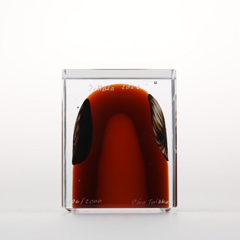 1977年から続くアニュアルキューブ | iittala / Annual cube