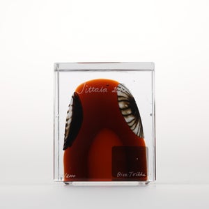 Annual Cube 2026 0113