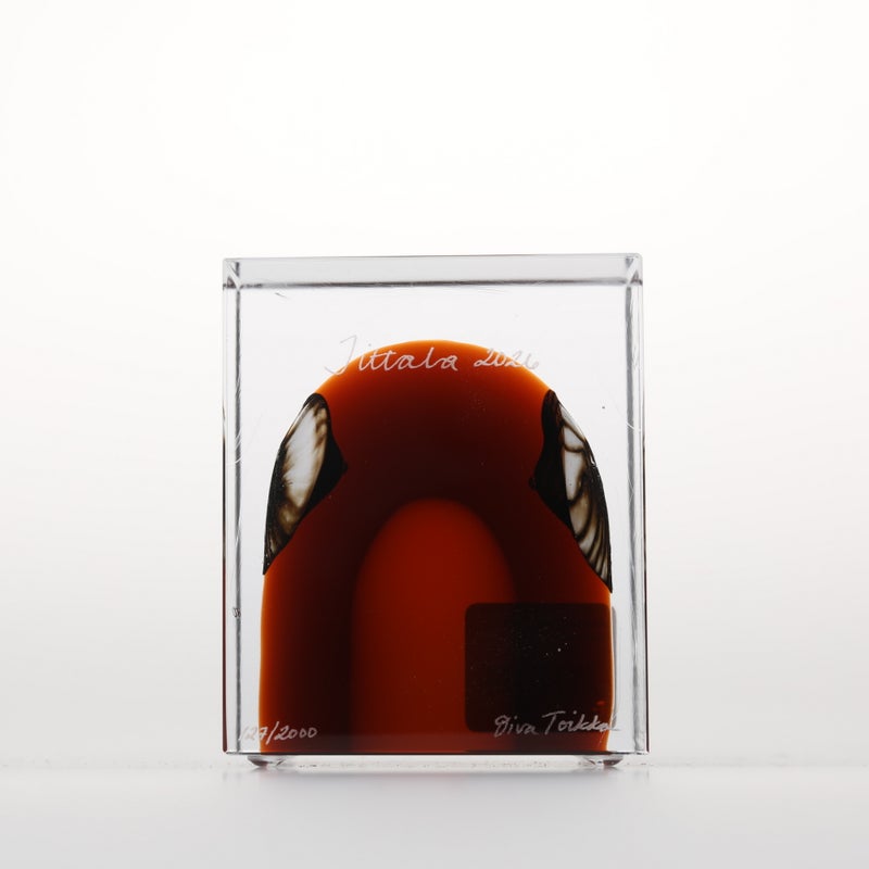1977年から続くアニュアルキューブ | iittala / Annual cube