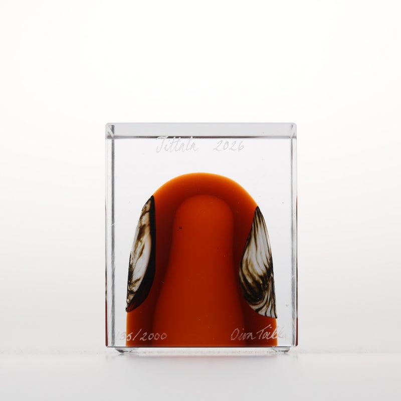 1977年から続くアニュアルキューブ | iittala / Annual cube