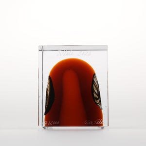 Annual Cube 2026 0136