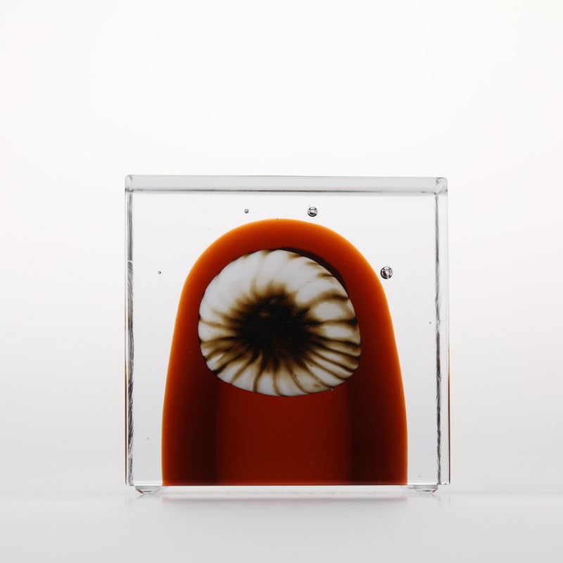 1977年から続くアニュアルキューブ | iittala / Annual cube