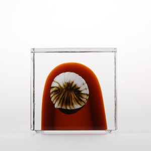 Annual Cube 2026 0005