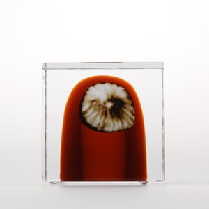 Annual Cube 2026 0007