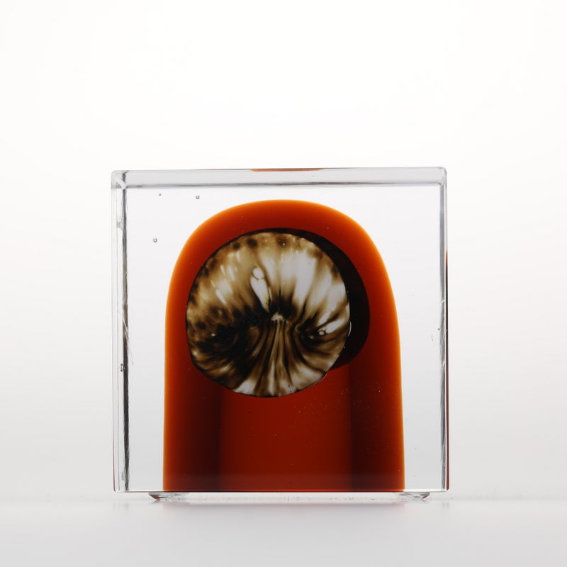 1977年から続くアニュアルキューブ | iittala / Annual cube