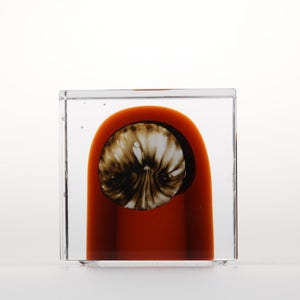 Annual Cube 2026 0008