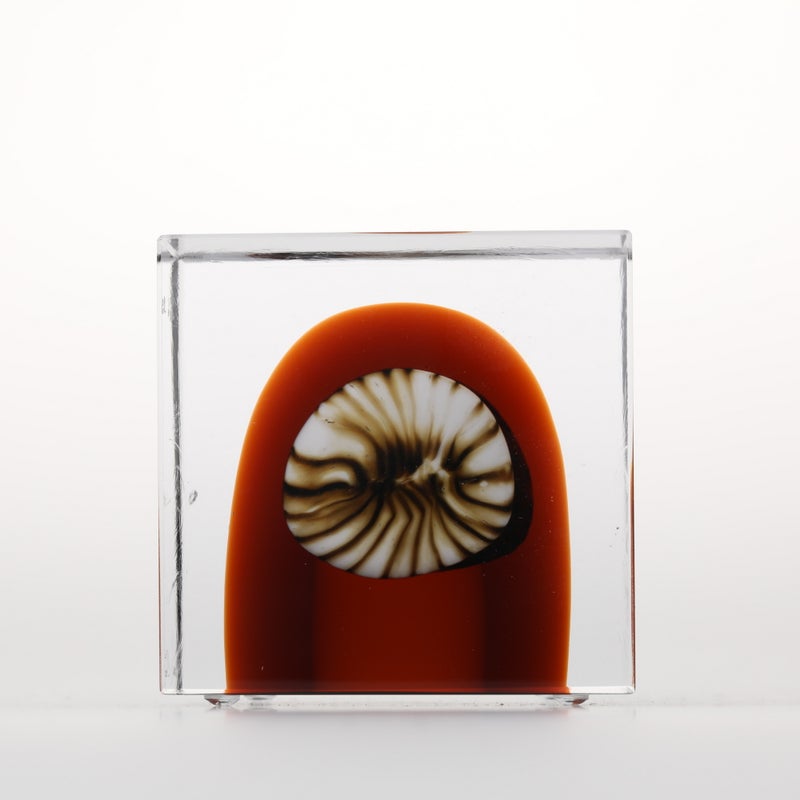 Annual Cube アニュアルキューブ 1993年 イッタラ キューブ 1977年から続くアニュアルキューブ | iittala / Annual cube
