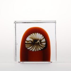 Annual Cube 2026 0009