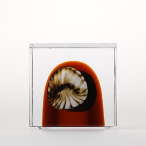 Annual Cube 2026 0025