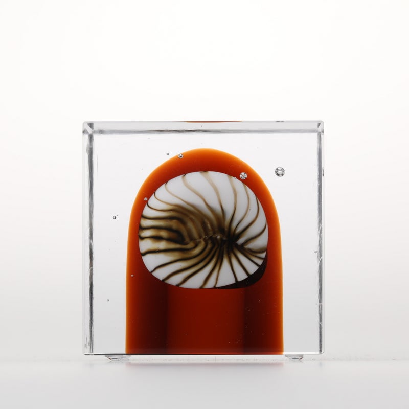 1977年から続くアニュアルキューブ | iittala / Annual cube