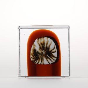 Annual Cube 2026 0027