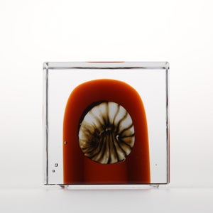 Annual Cube 2026 0028