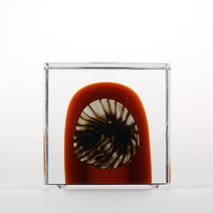 Annual Cube 2026 0029