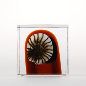 Annual Cube 2026 0030