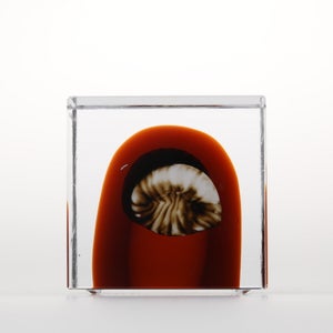 Annual Cube 2026 0031