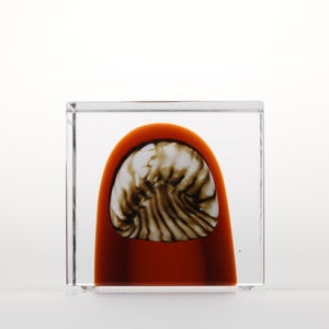 Annual Cube 2026 0032