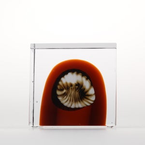 Annual Cube 2026 0060