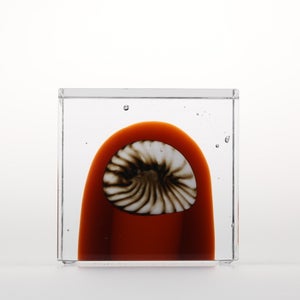 Annual Cube 2026 0061