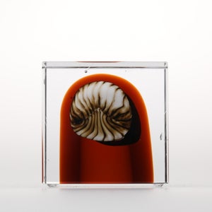 Annual Cube 2026 0106