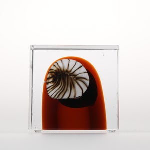 Annual Cube 2026 0113