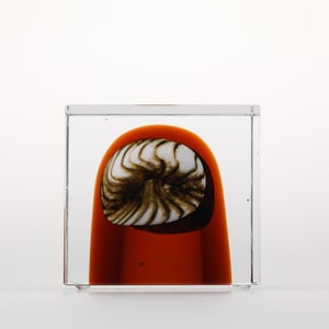 Annual Cube 2026 0133