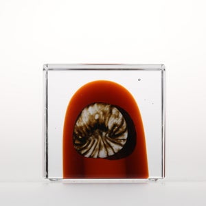 Annual Cube 2026 0138