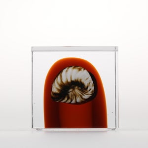 Annual Cube 2026 0139