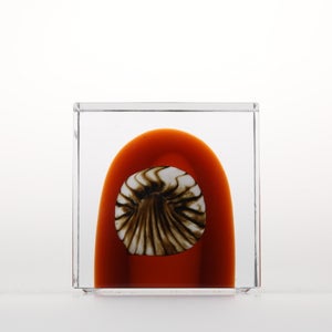 Annual Cube 2026 0141