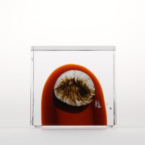 Annual Cube 2026 0142