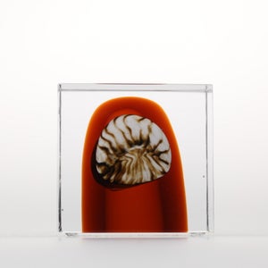 Annual Cube 2026 0144