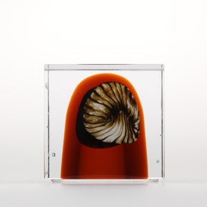 Annual Cube 2026 0145