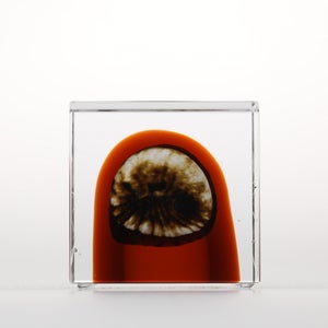 Annual Cube 2026 0146