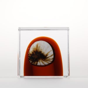 Annual Cube 2026 0147